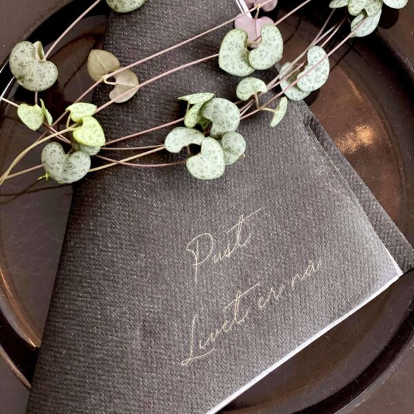 Servietter ; Pust livet er nå! (sort)