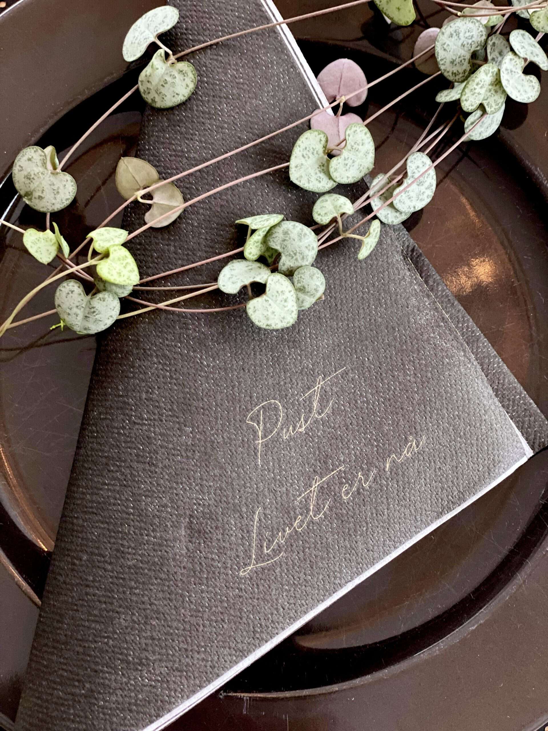 Servietter ; Pust livet er nå! (sort)